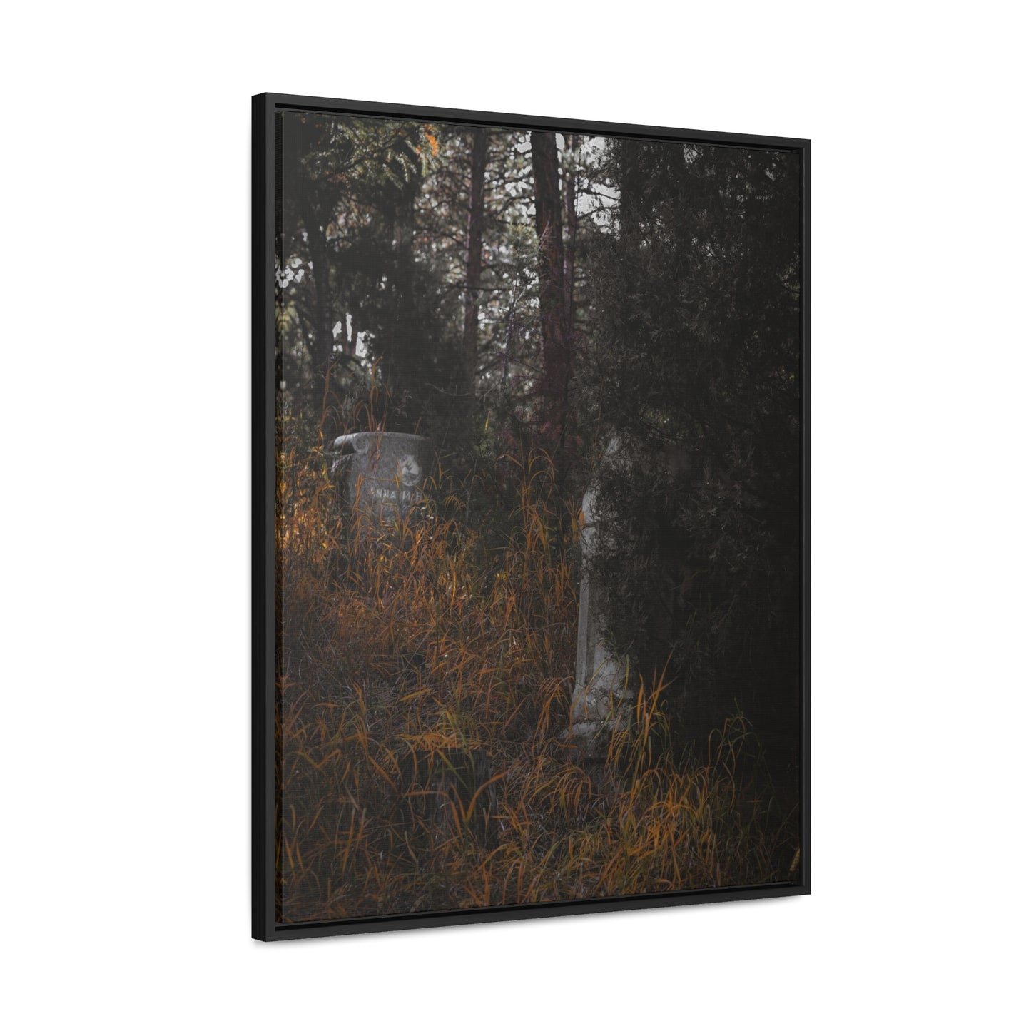 "Hidden Stories" Gallery Canvas Wraps, Vertical Frame