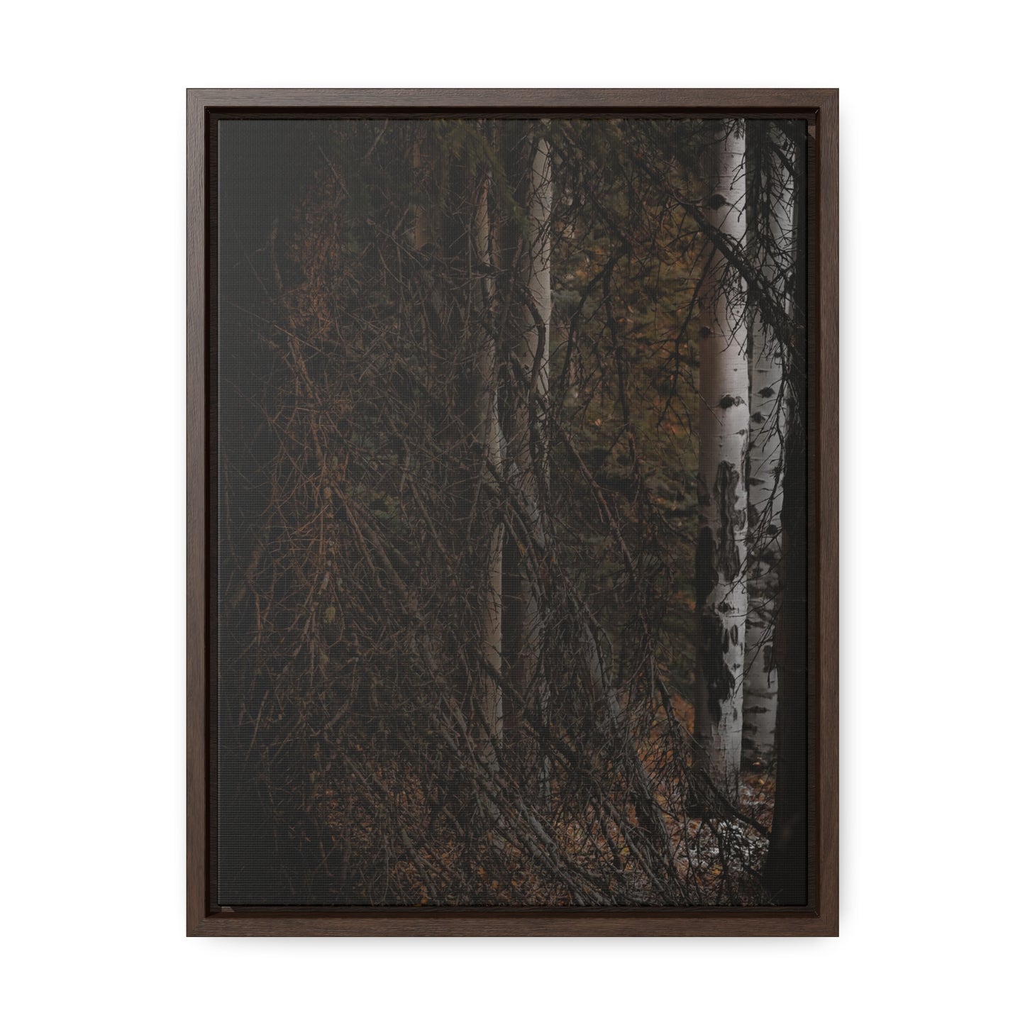 The Dark Forest Gallery Canvas Wraps, Vertical Frame