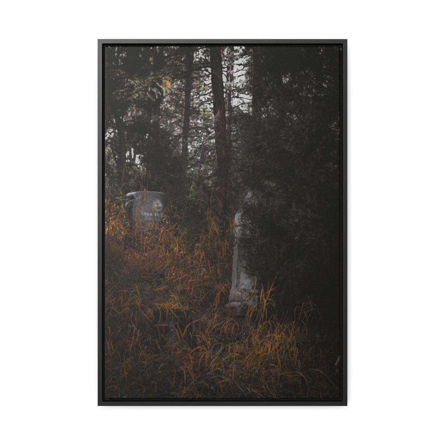 "Hidden Stories" Gallery Canvas Wraps, Vertical Frame