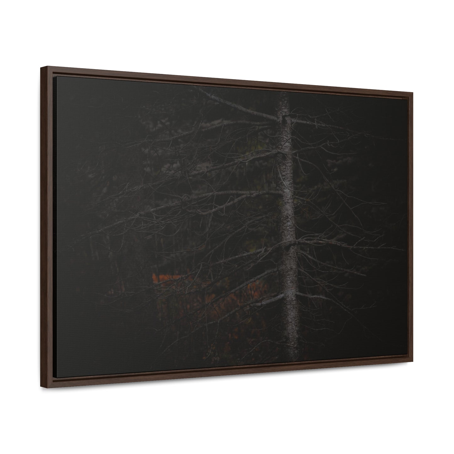 Beauty in Darkness Framed Gallery Canvas