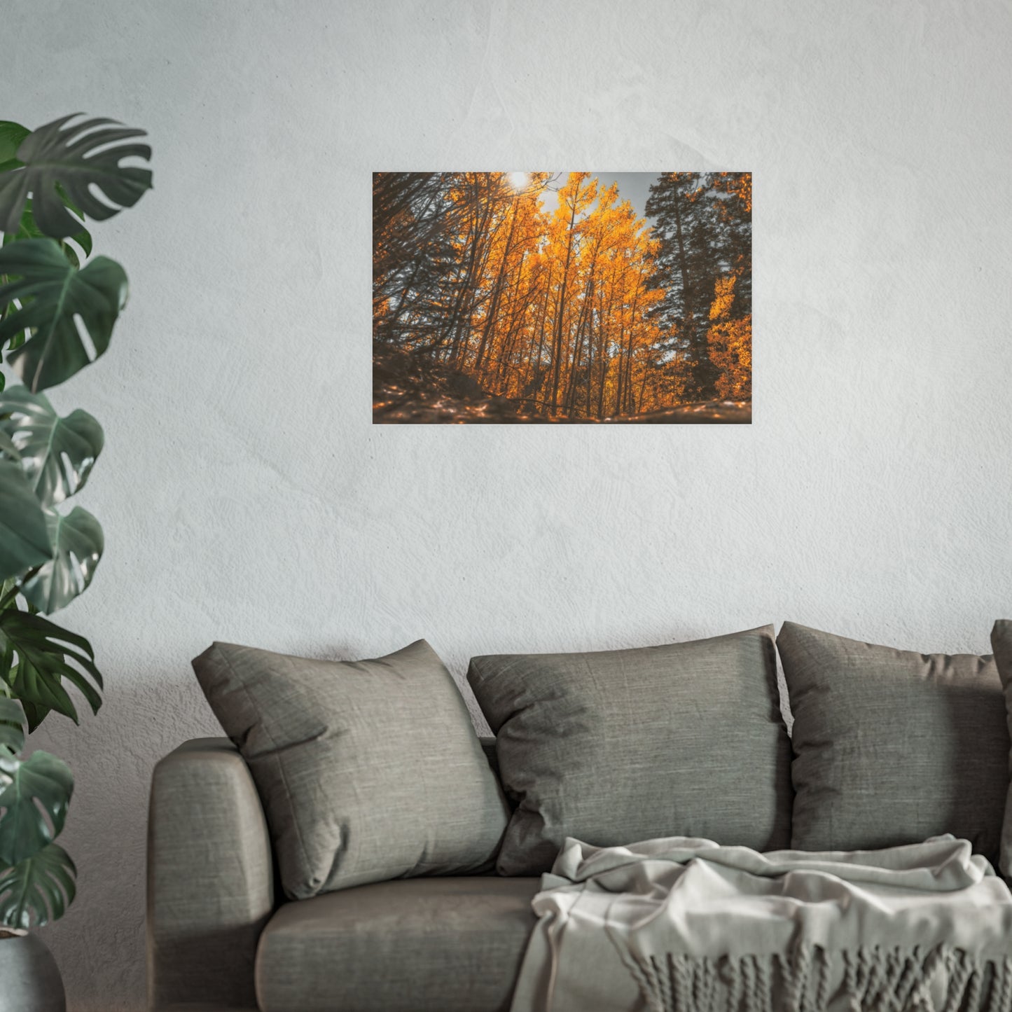 "Autumn's Light" Fine Art Print