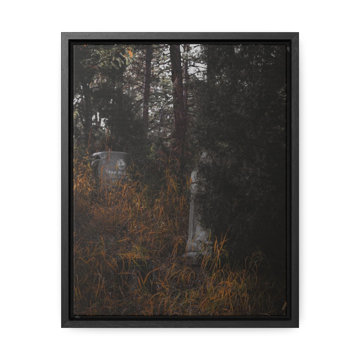 "Hidden Stories" Gallery Canvas Wraps, Vertical Frame