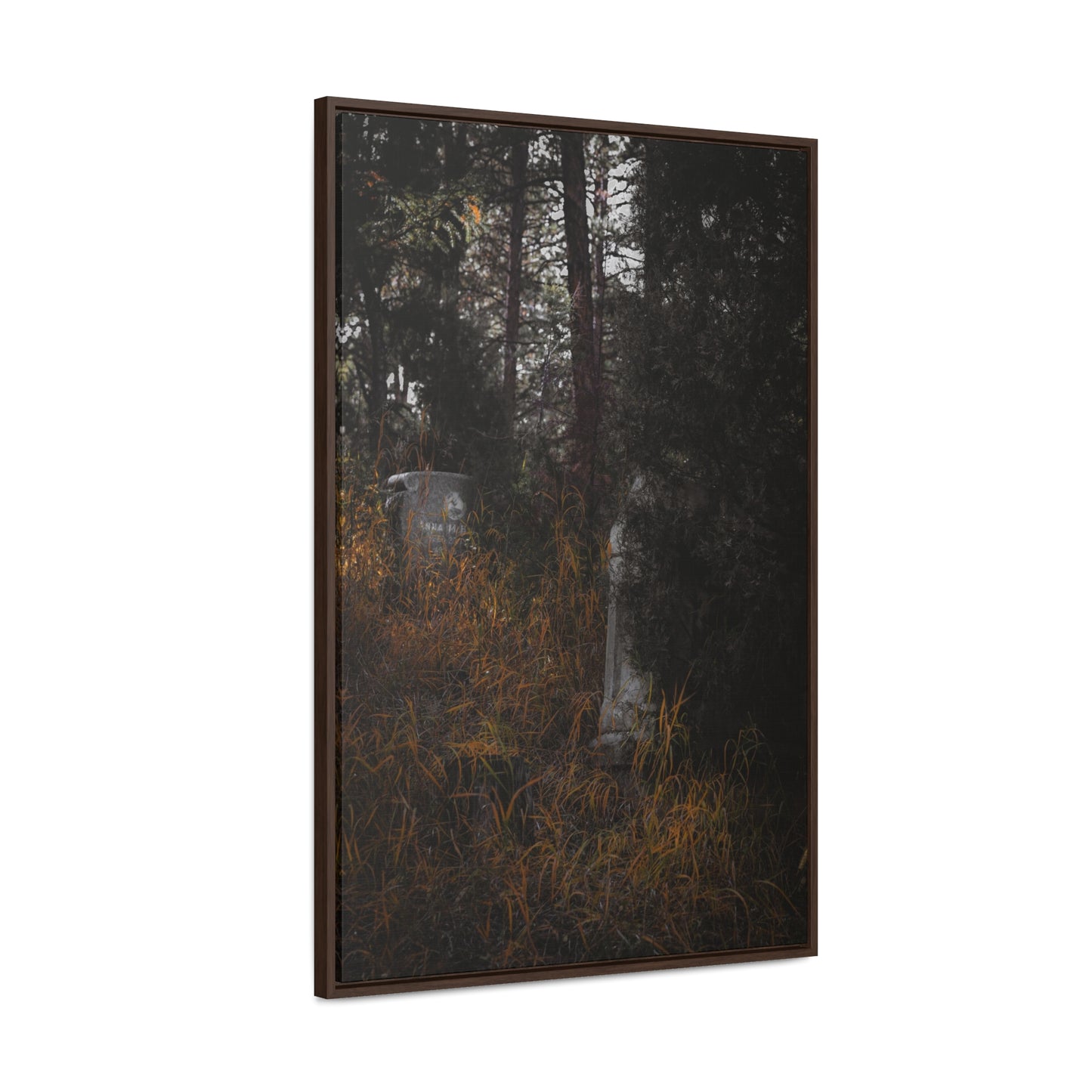 "Hidden Stories" Gallery Canvas Wraps, Vertical Frame