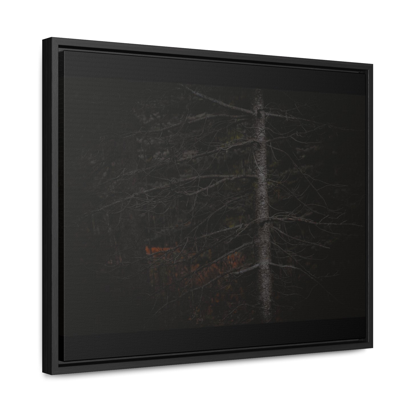 Beauty in Darkness Framed Gallery Canvas