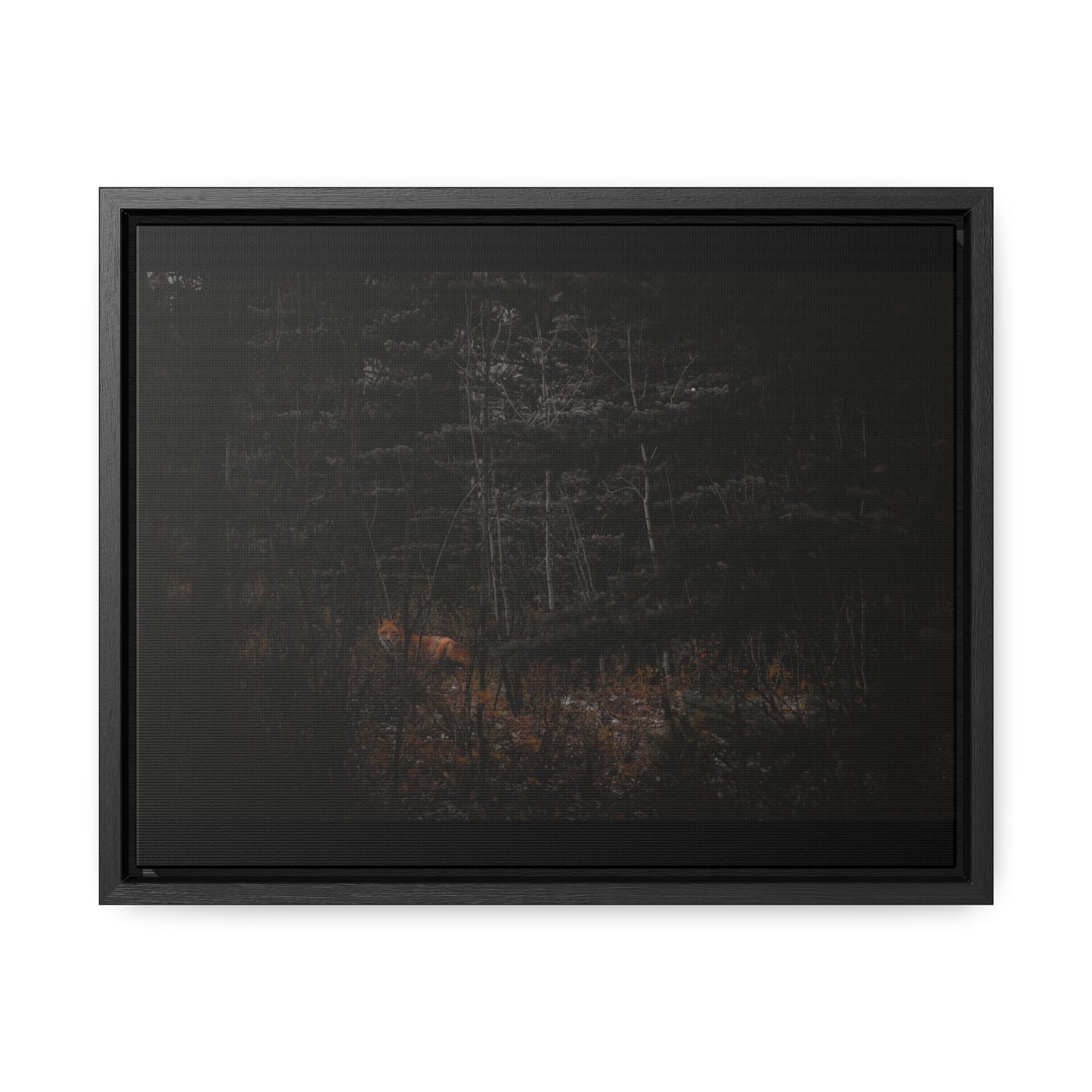 The Fox of the Forest Framed Gallery Canvas