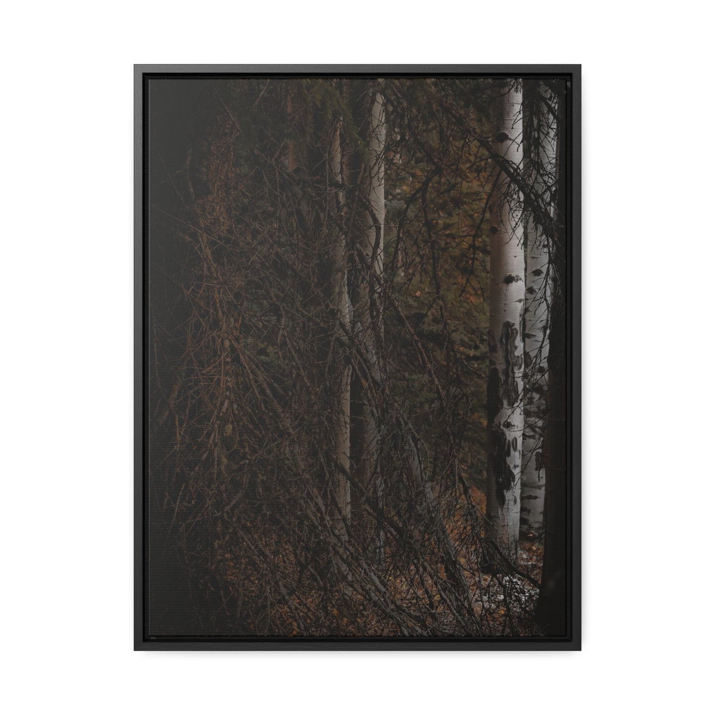 The Dark Forest Gallery Canvas Wraps, Vertical Frame