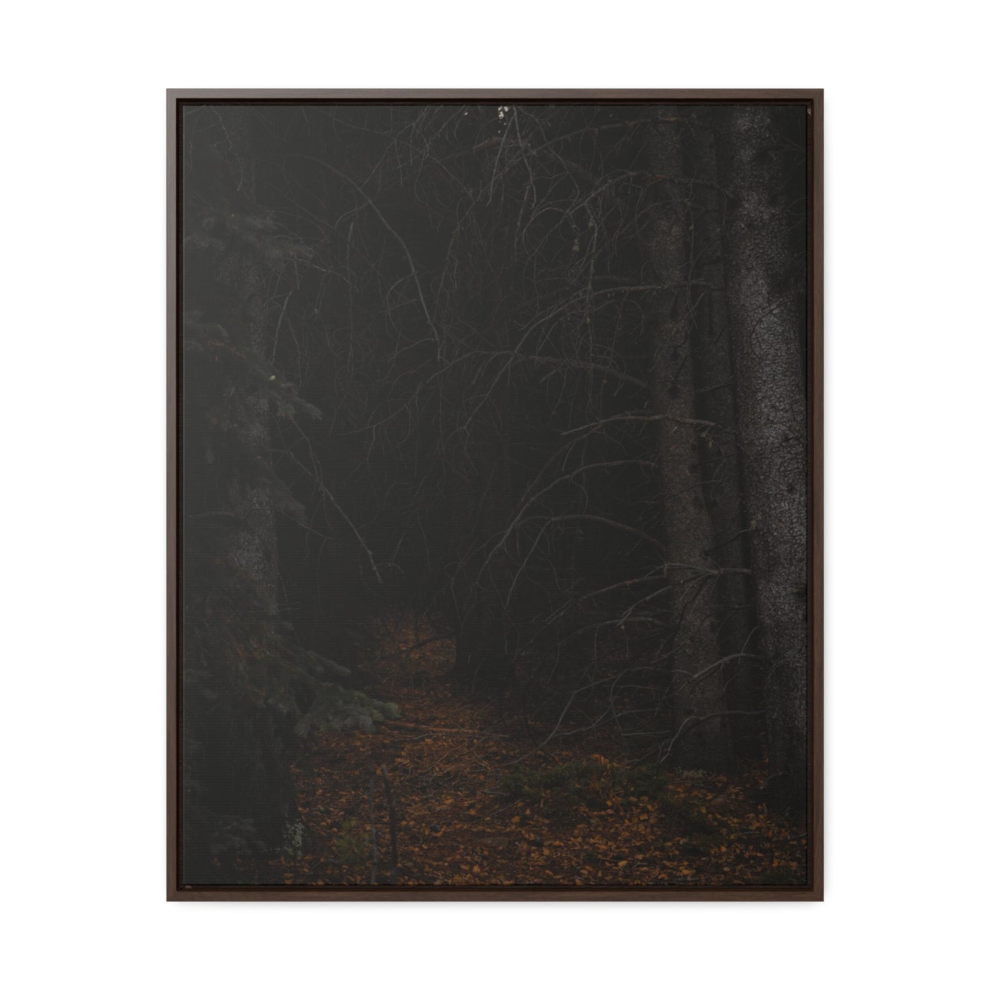 Into the Woods Gallery Canvas Wraps, Vertical Frame