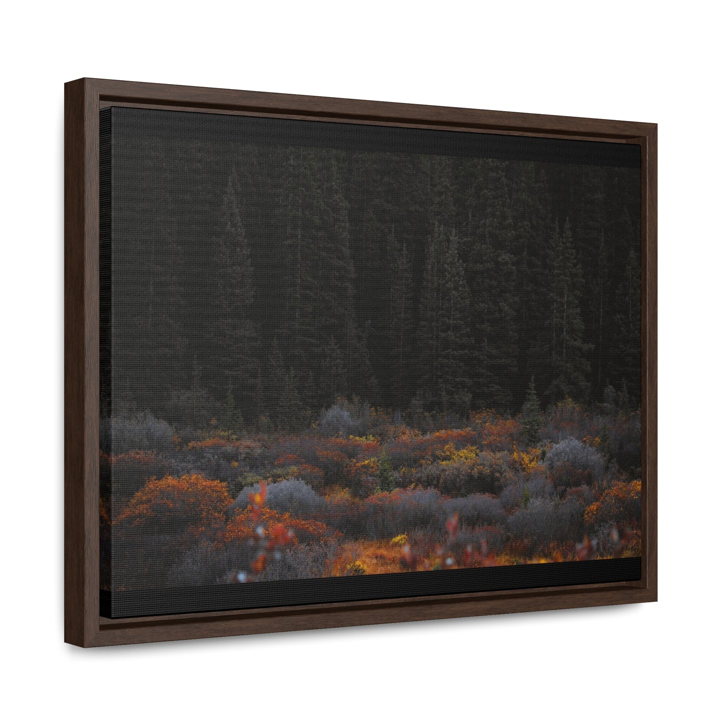 Moody Forest Framed Gallery Canvas