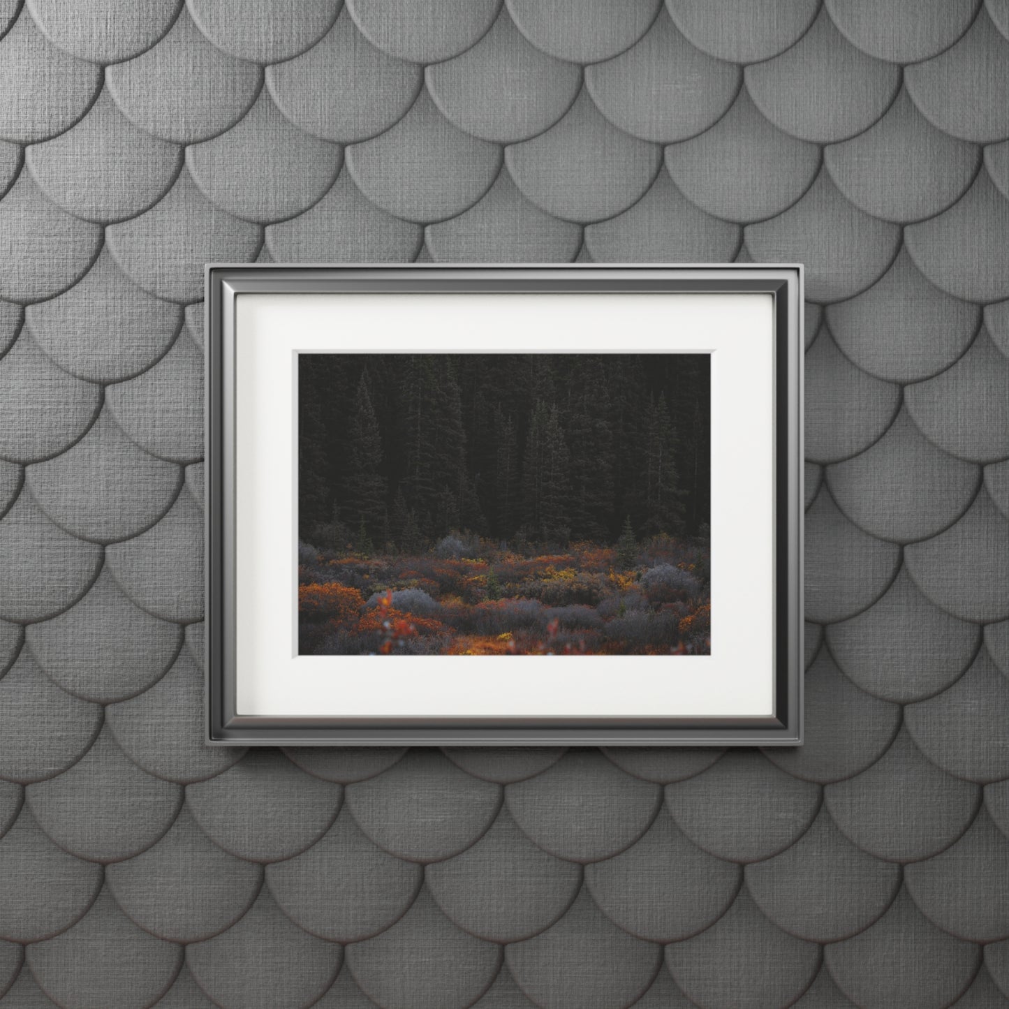 "Moody Forest" Fine Art Prints (Passepartout Paper Frame)