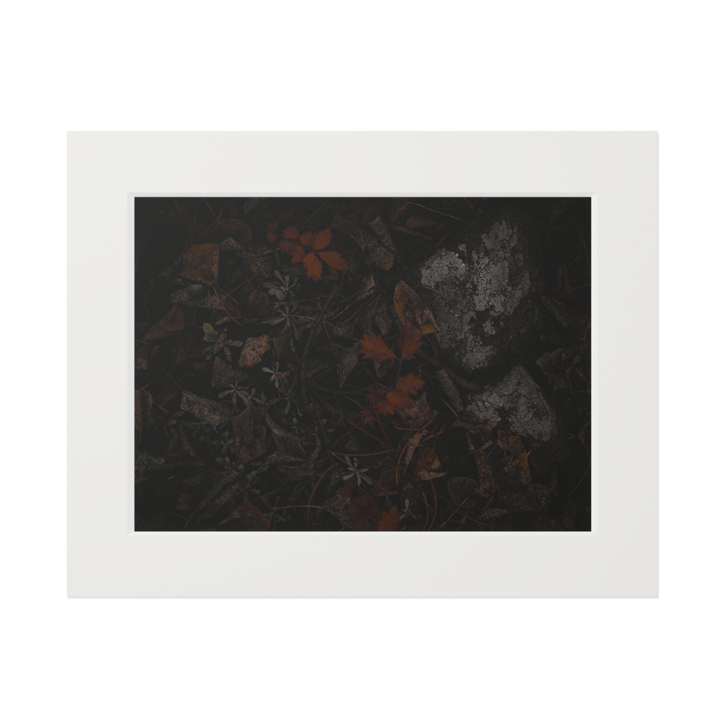 "Autumn's Floor" Fine Art Prints (Passepartout Paper Frame)