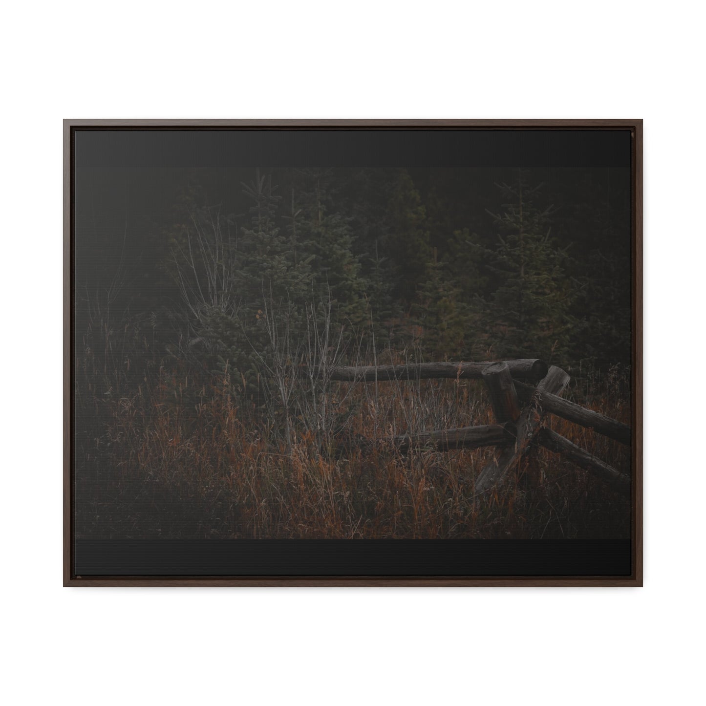 Countryside Forest Framed Gallery Canvas