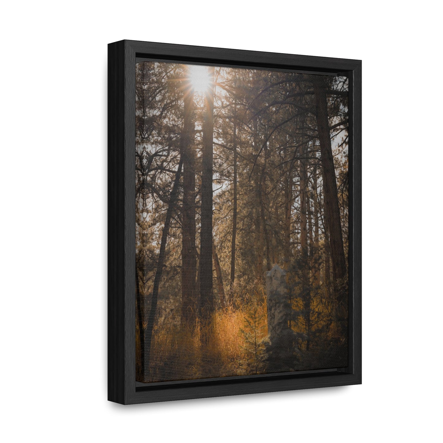 The Sun in the Cemetery Gallery Canvas Wraps, Vertical Frame