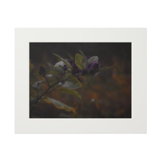 "Autumn's Kiss" Fine Art Prints (Passepartout Paper Frame)