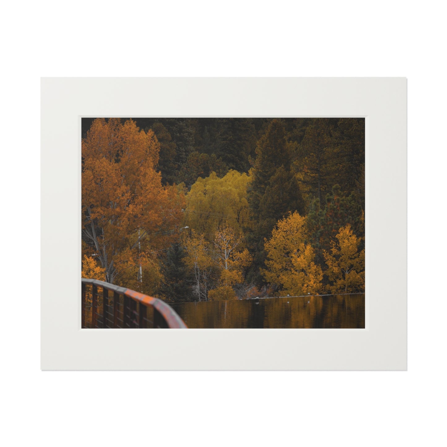 "Fall Feelings" Fine Art Prints (Passepartout Paper Frame)