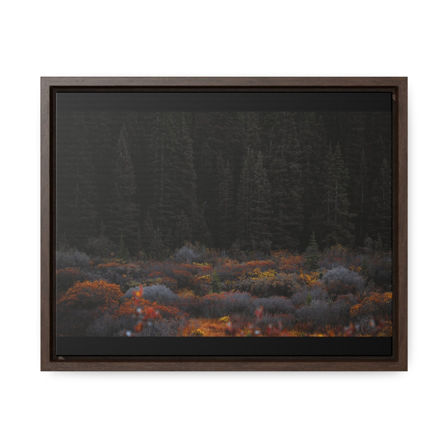 Moody Forest Framed Gallery Canvas