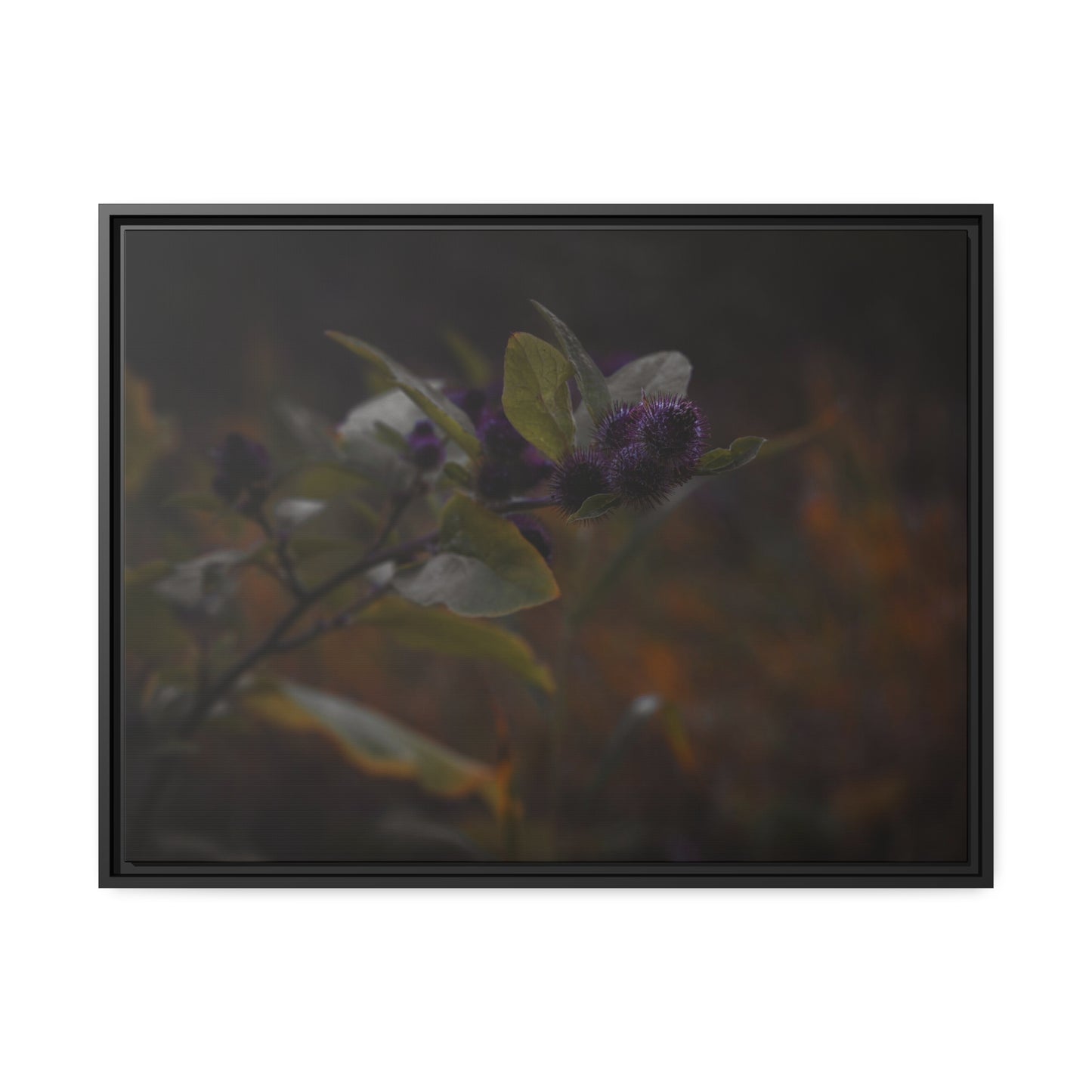 "Autumn's Kiss" Framed Canvas