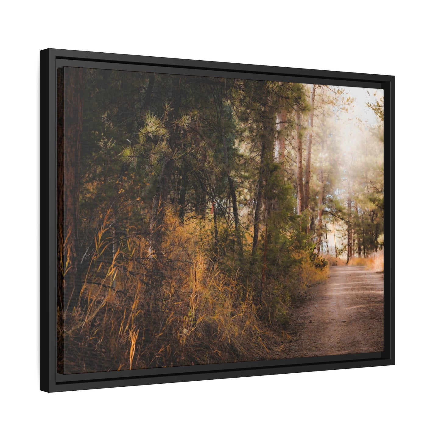 "Cemetery Light" Framed Canvas