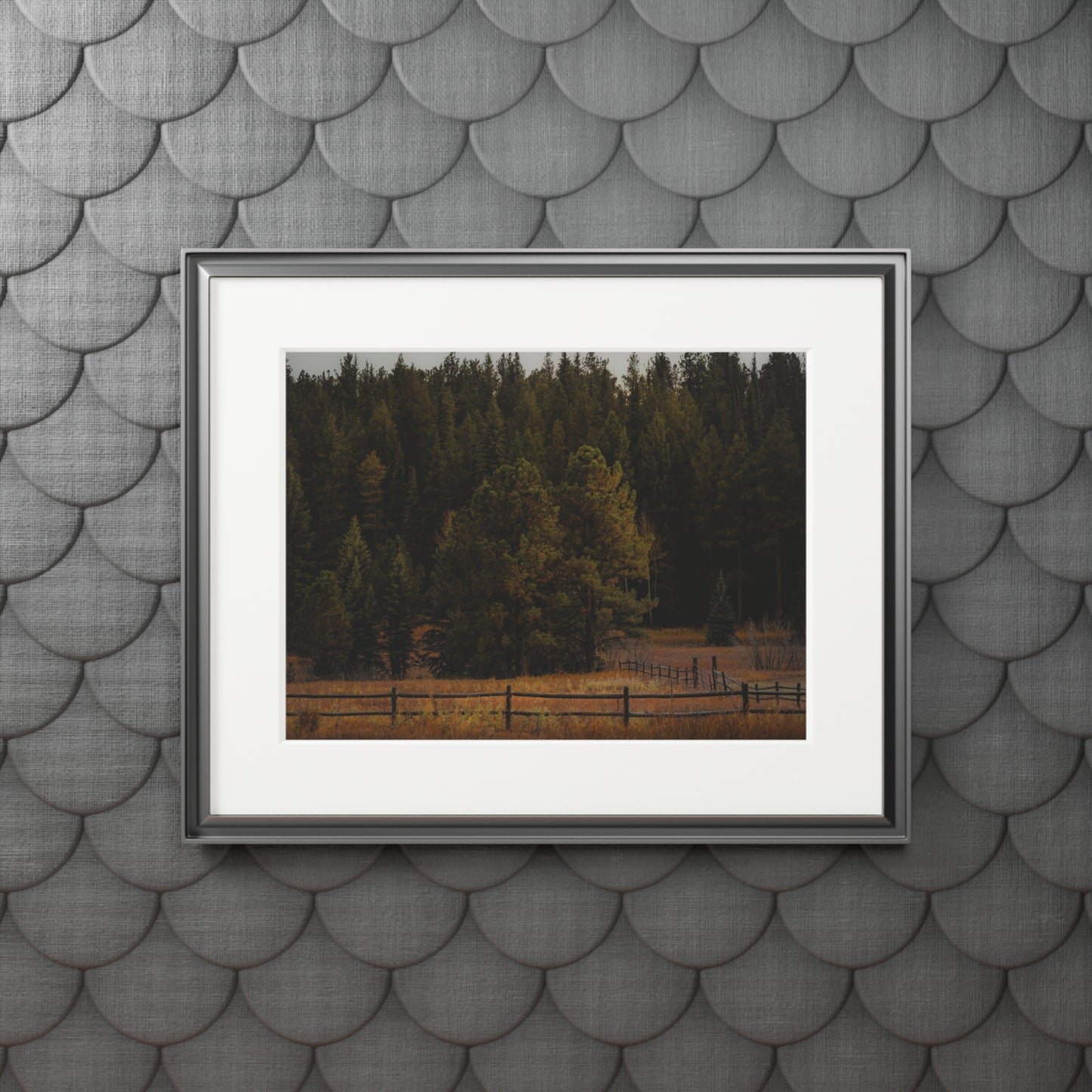 "Forest's Edge" Fine Art Prints (Passepartout Paper Frame)