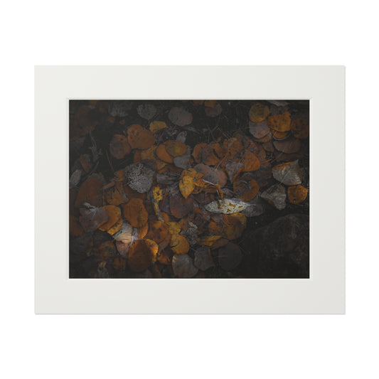 "Earthy Forest Floor" Fine Art Prints (Passepartout Paper Frame)