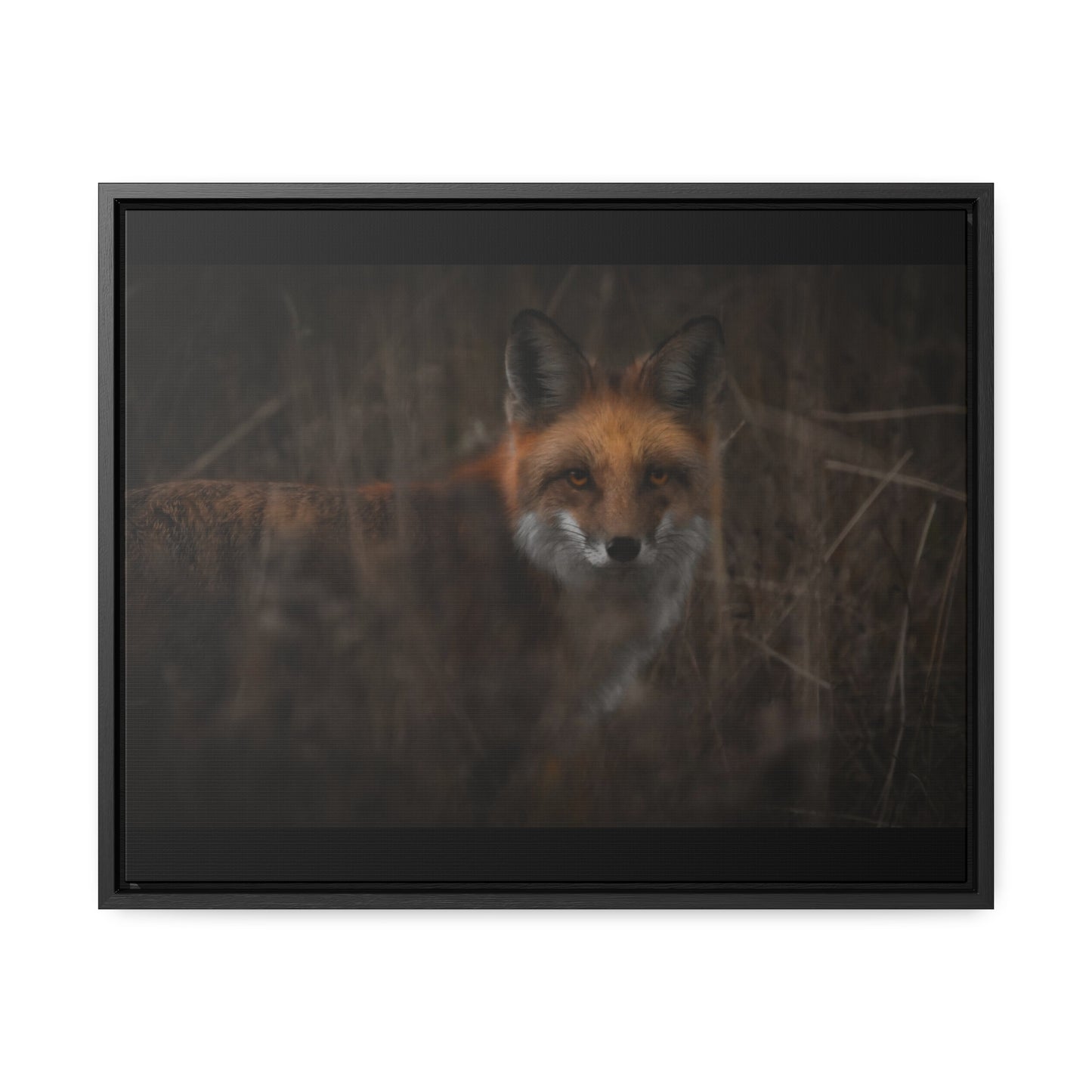 Fox Framed Gallery Canvas