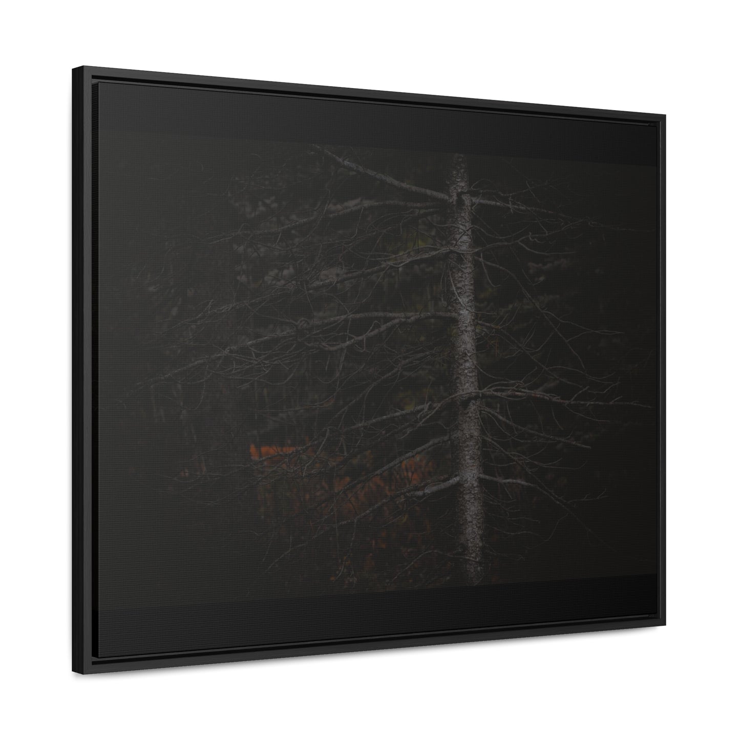 Beauty in Darkness Framed Gallery Canvas