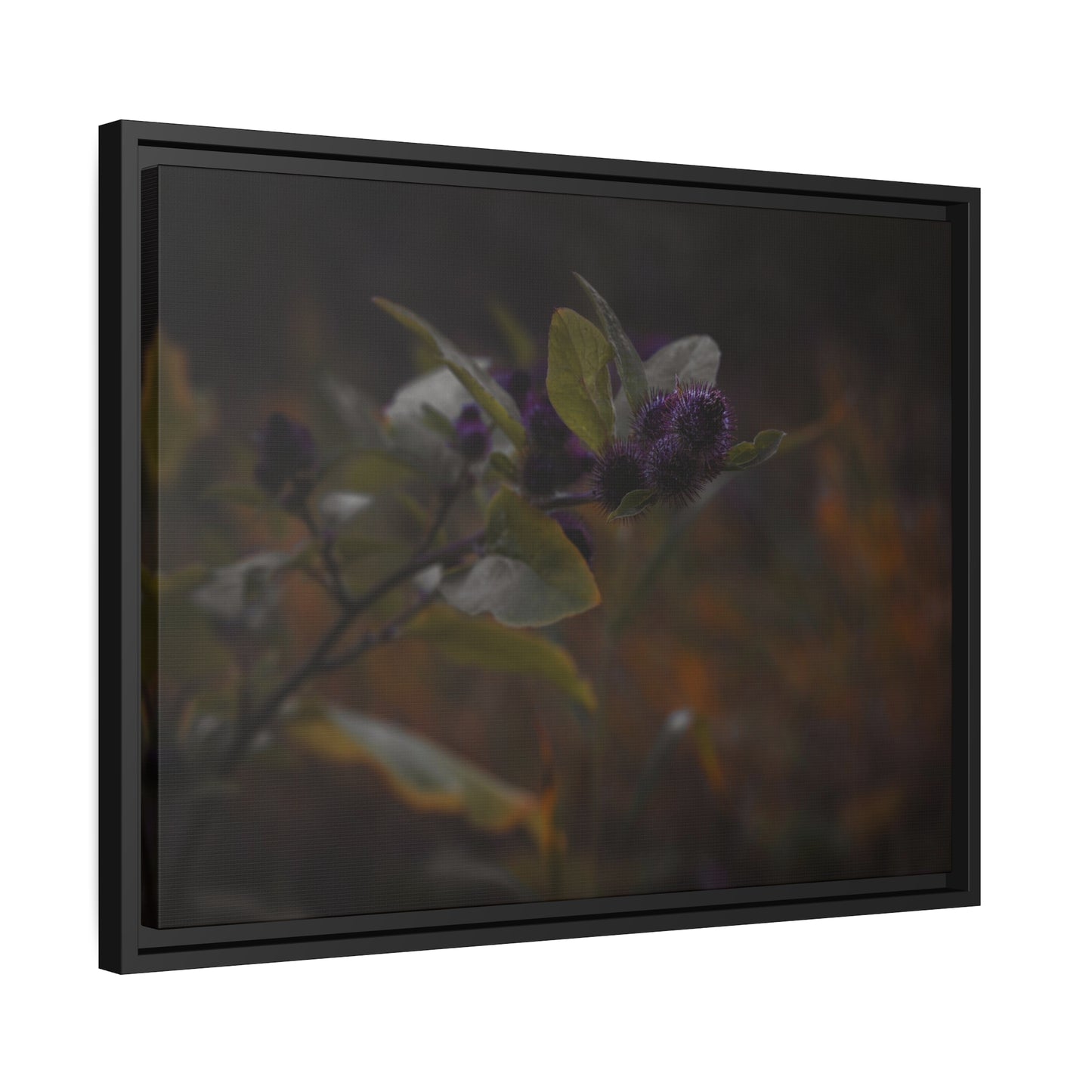 "Autumn's Kiss" Framed Canvas