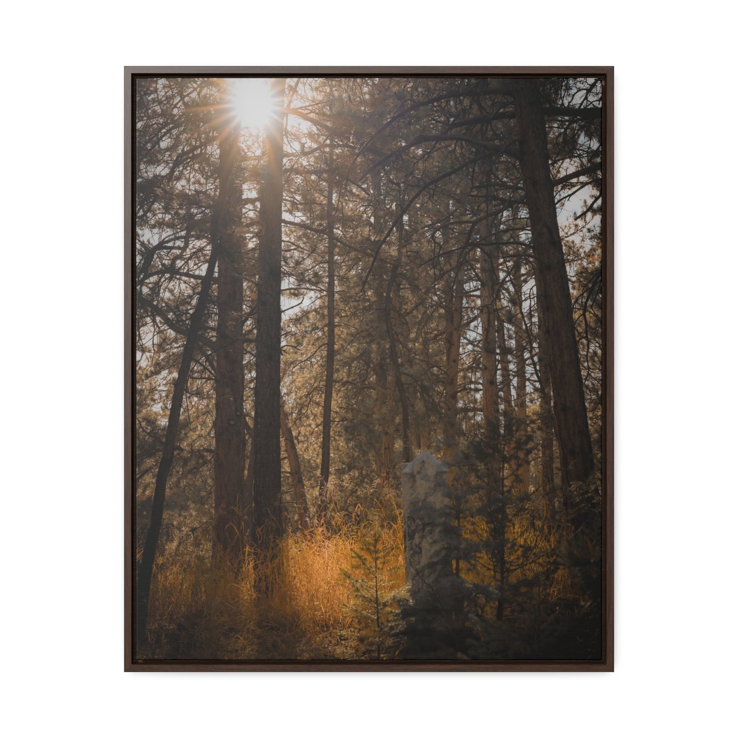 The Sun in the Cemetery Gallery Canvas Wraps, Vertical Frame