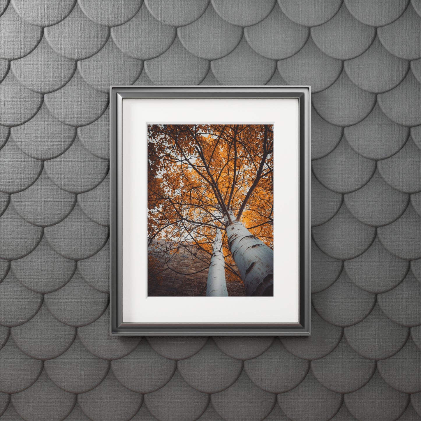 "Aspen Canopy" Fine Art Prints (Passepartout Paper Frame)