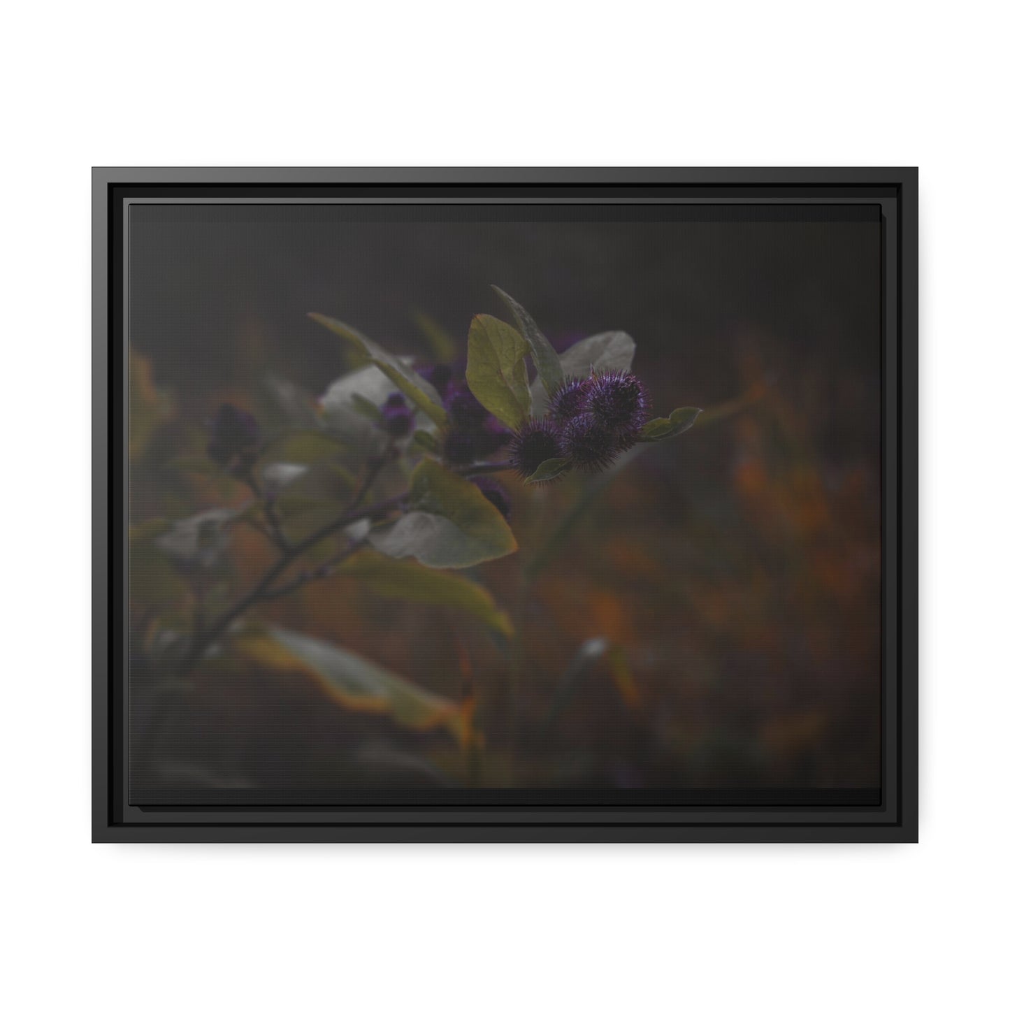 "Autumn's Kiss" Framed Canvas