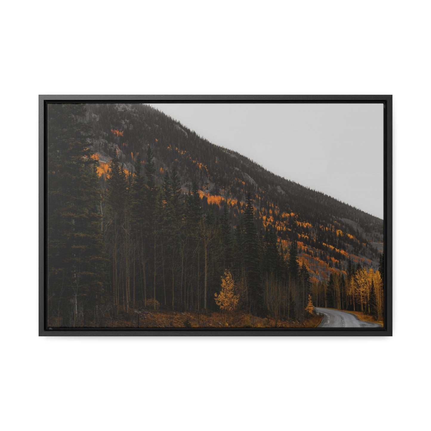 The Lonely Road Framed Gallery Canvas