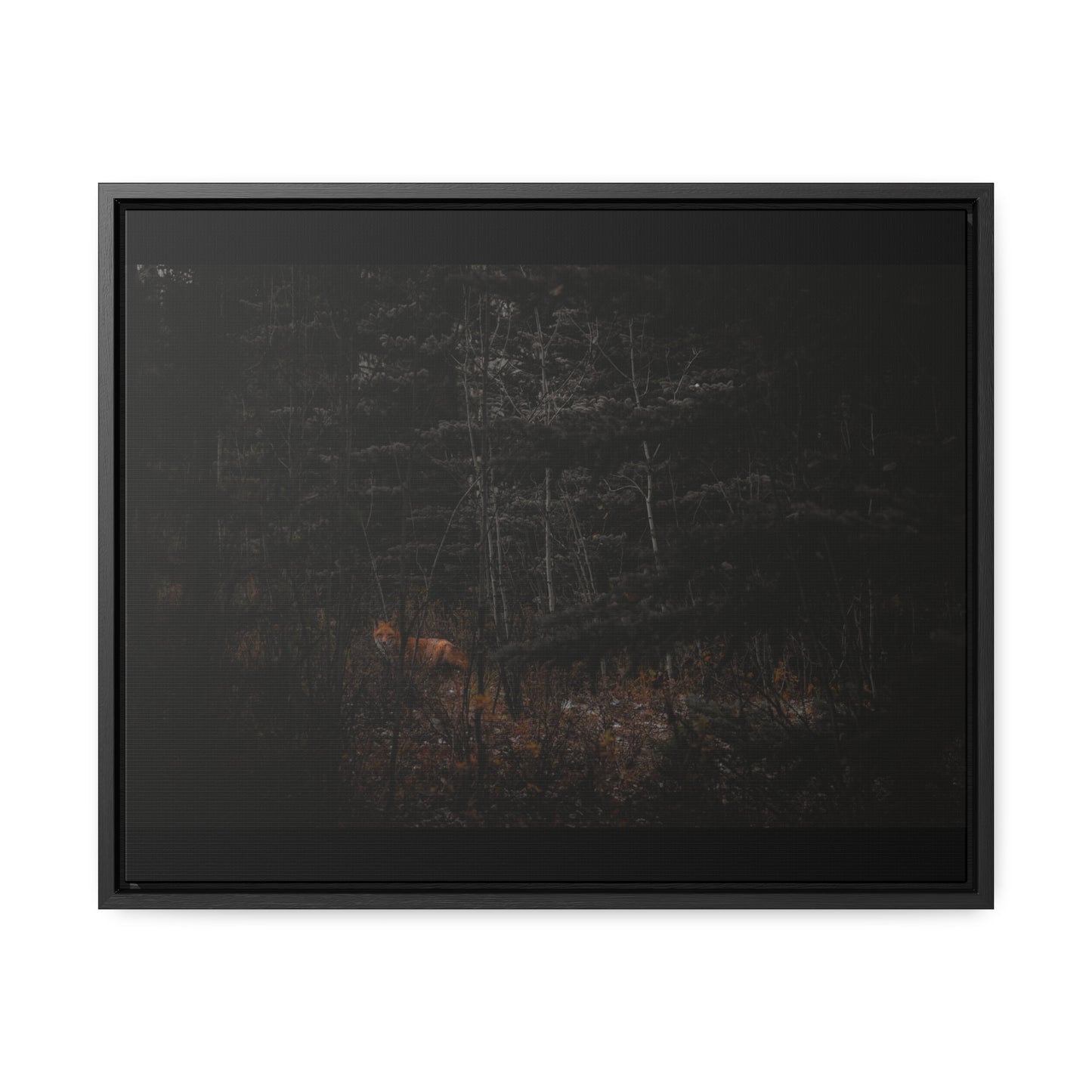 The Fox of the Forest Framed Gallery Canvas