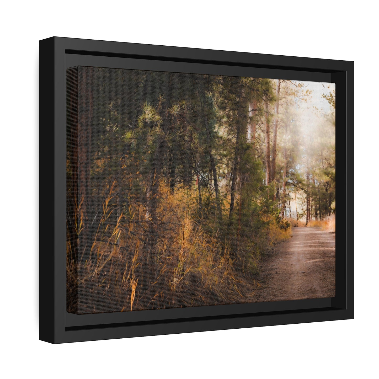 "Cemetery Light" Framed Canvas