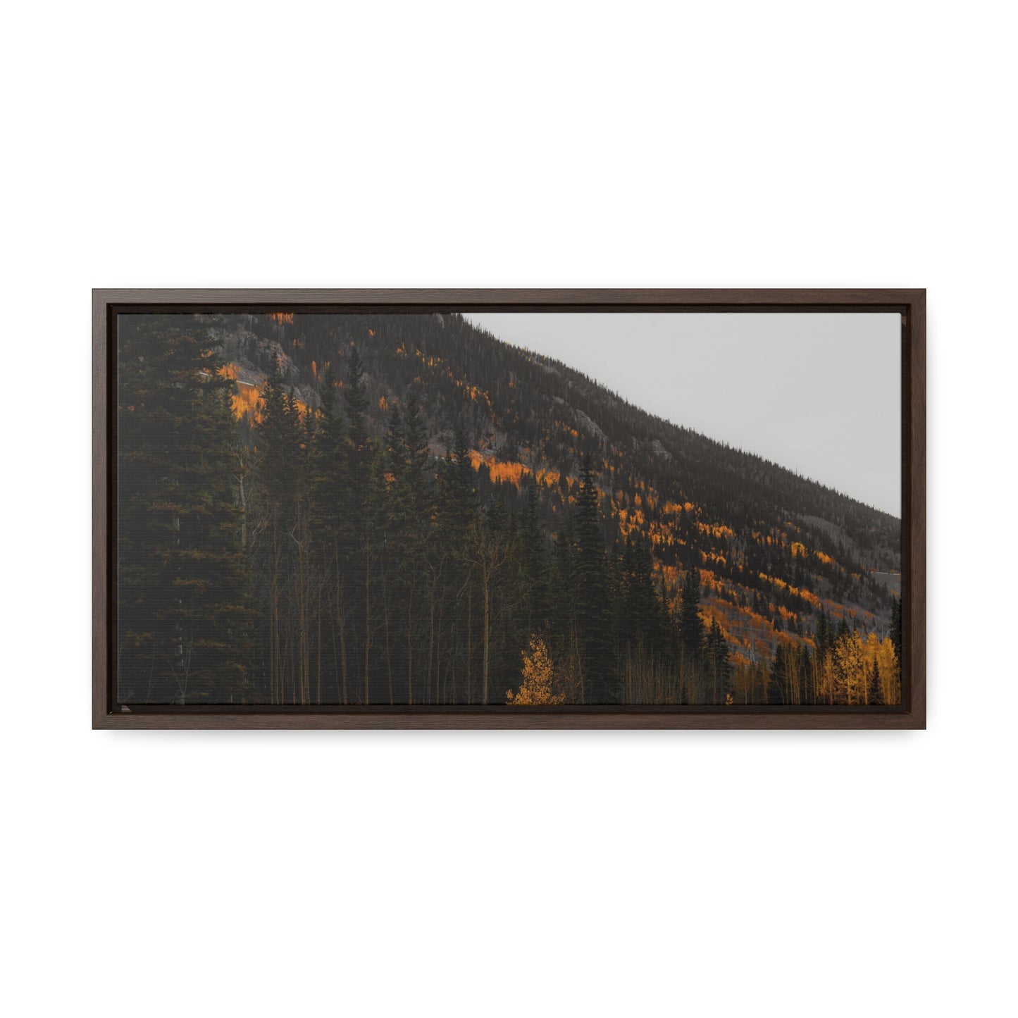 The Lonely Road Framed Gallery Canvas