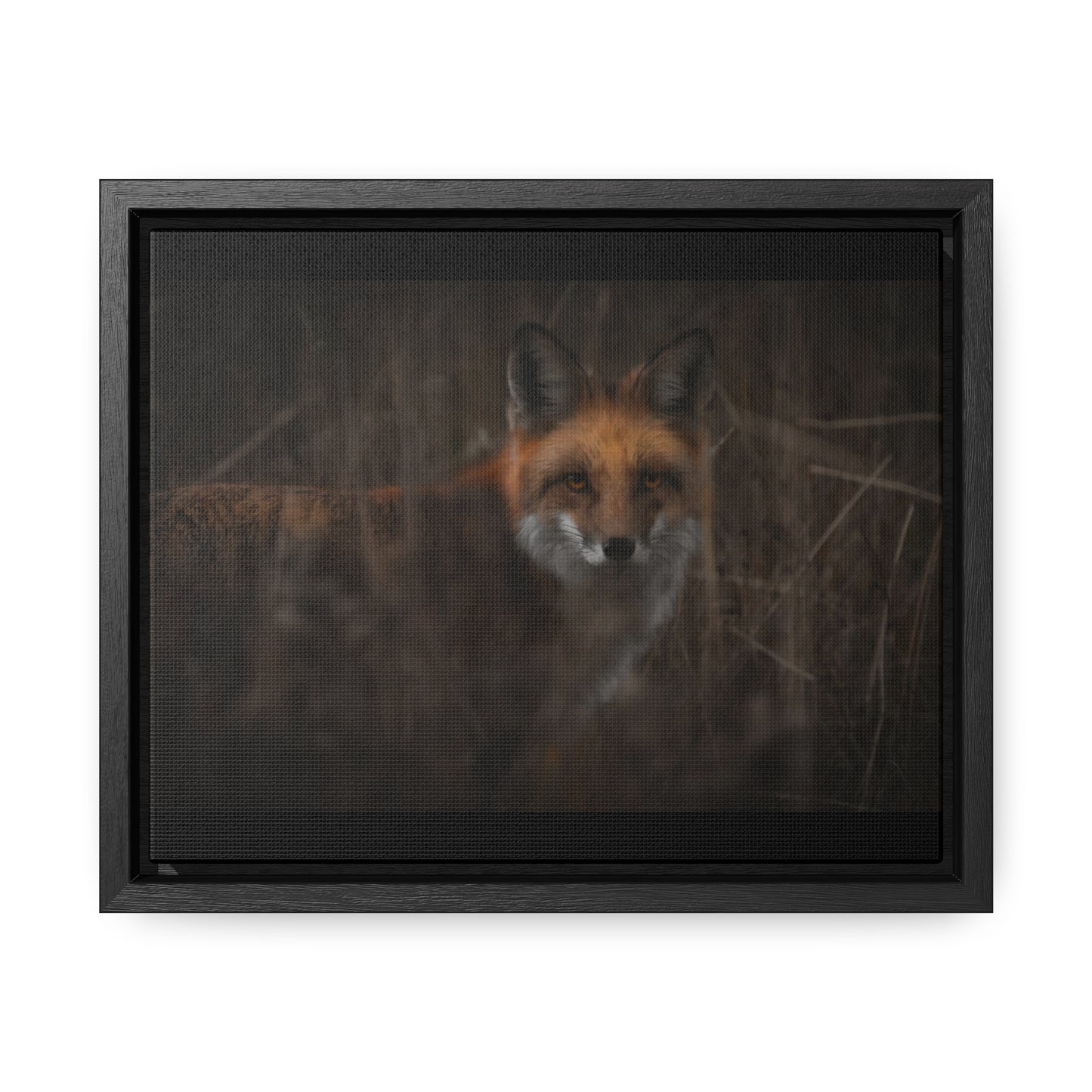 Fox Framed Gallery Canvas