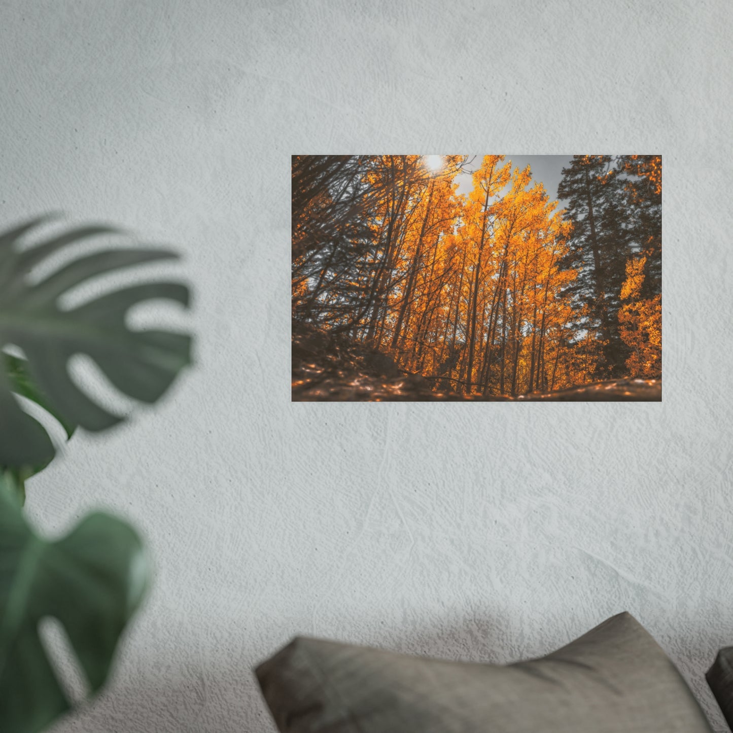 "Autumn's Light" Fine Art Print