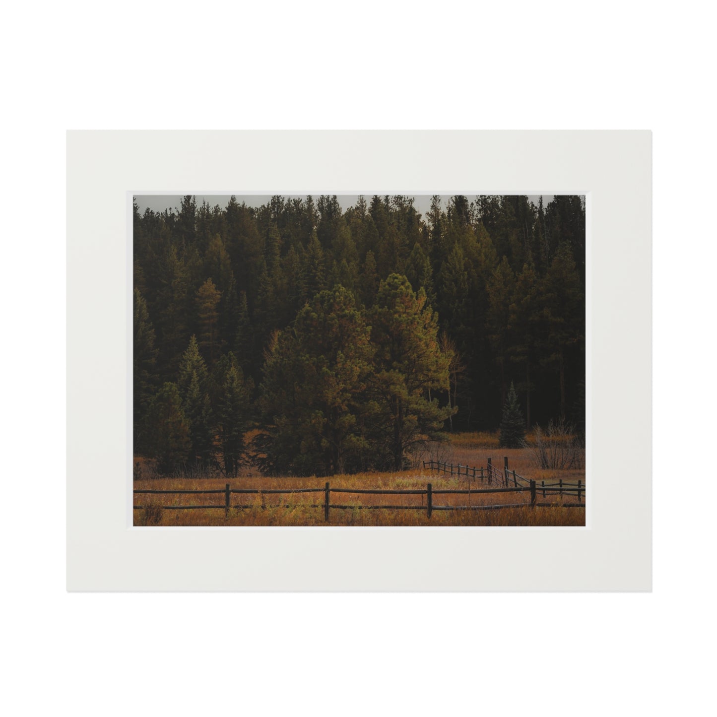 "Forest's Edge" Fine Art Prints (Passepartout Paper Frame)