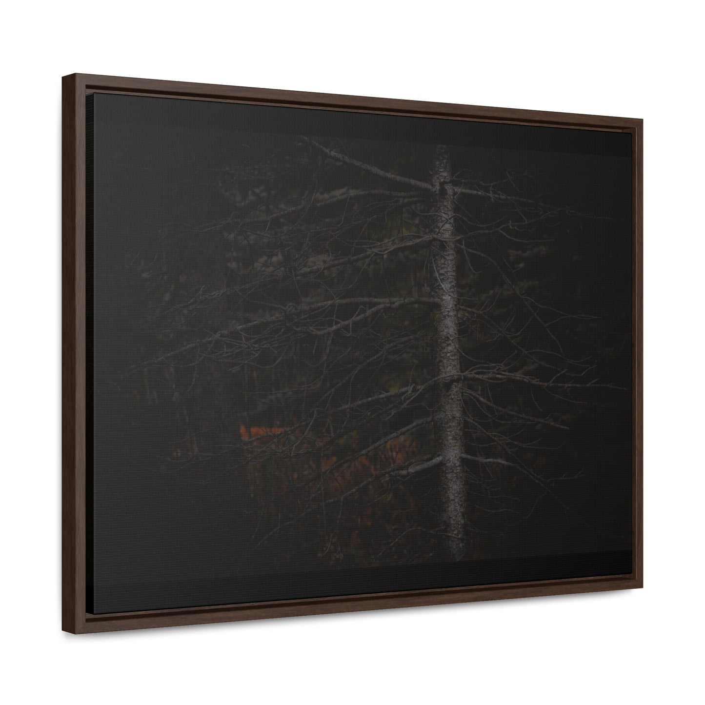 Beauty in Darkness Framed Gallery Canvas