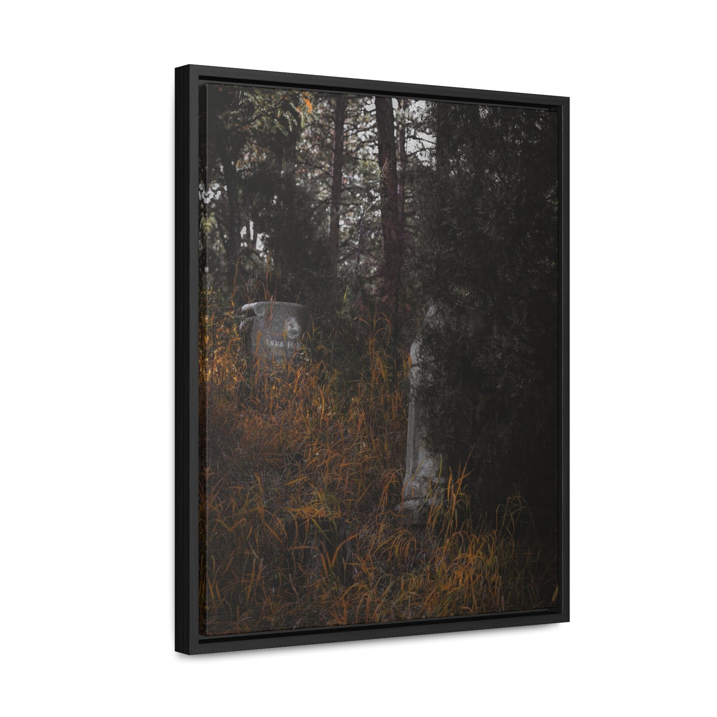 "Hidden Stories" Gallery Canvas Wraps, Vertical Frame