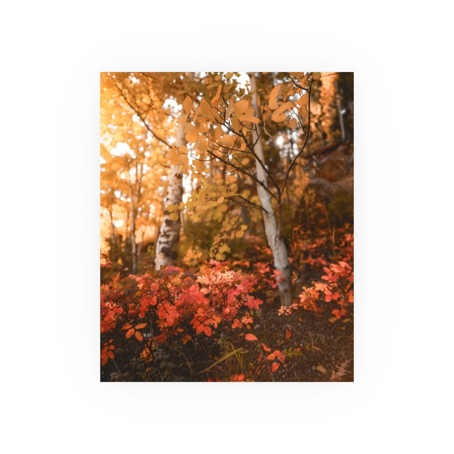 "Hello Autumn" Fine Art Print