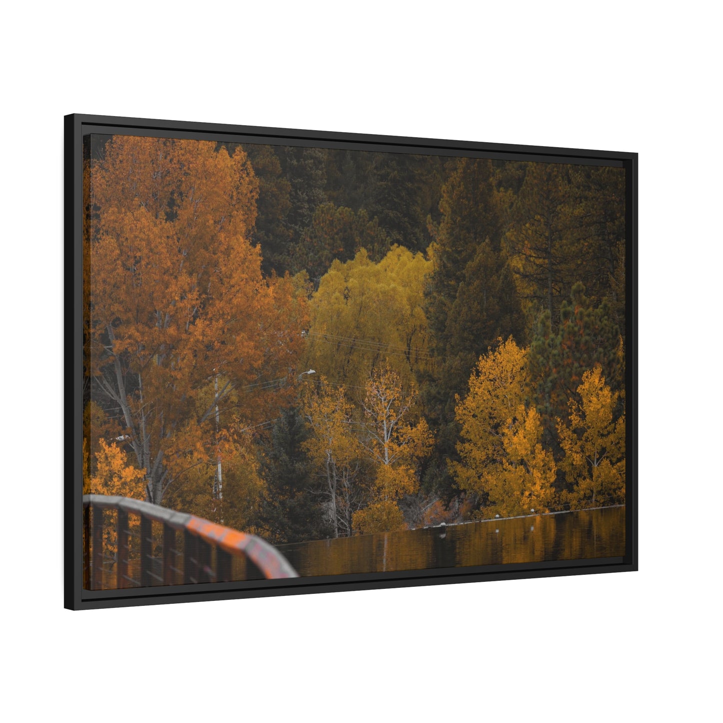 Fall Feelings Framed Canvas