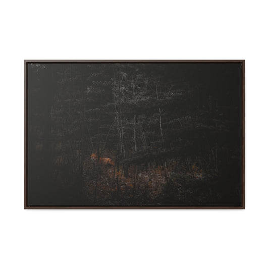 The Fox of the Forest Framed Gallery Canvas