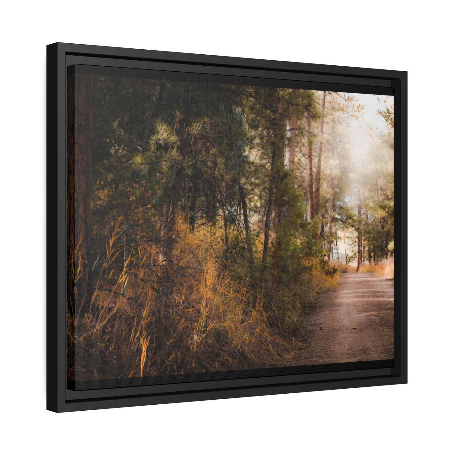 "Cemetery Light" Framed Canvas