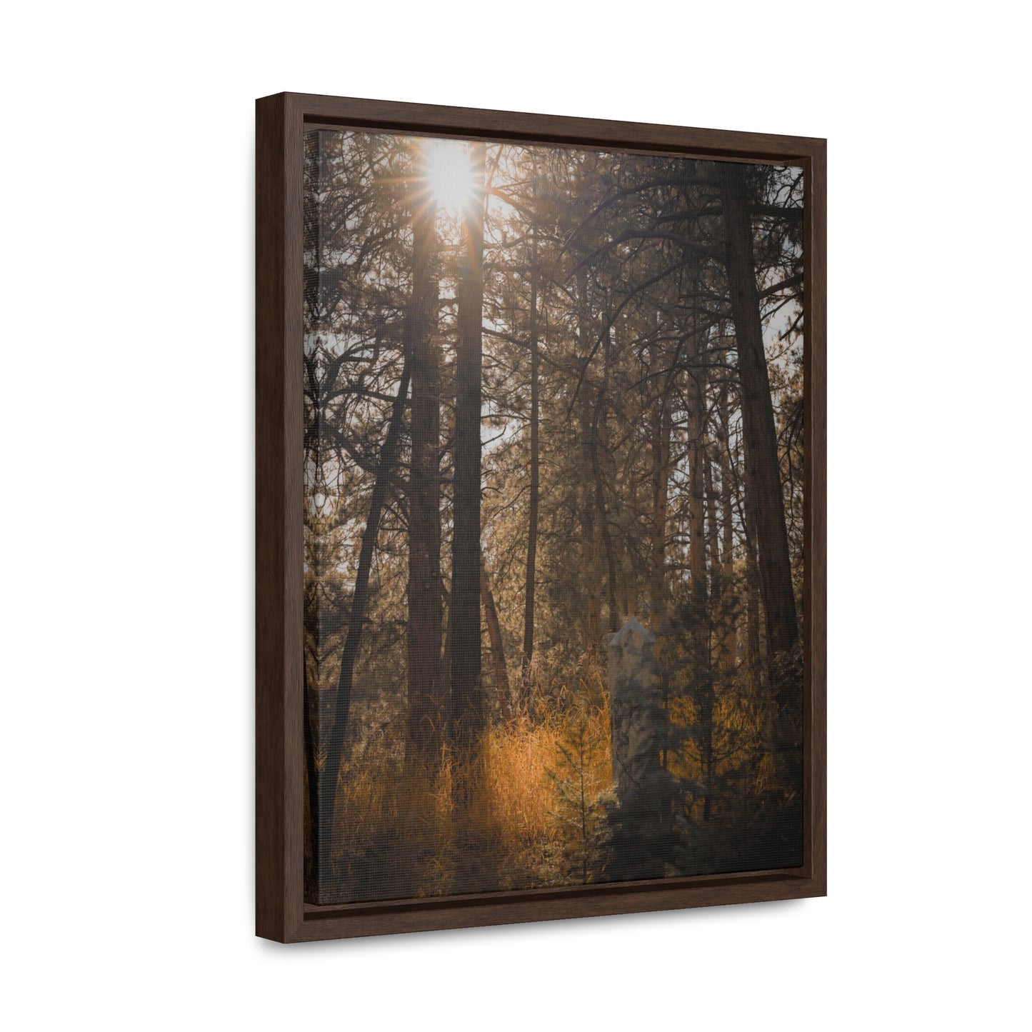 The Sun in the Cemetery Gallery Canvas Wraps, Vertical Frame