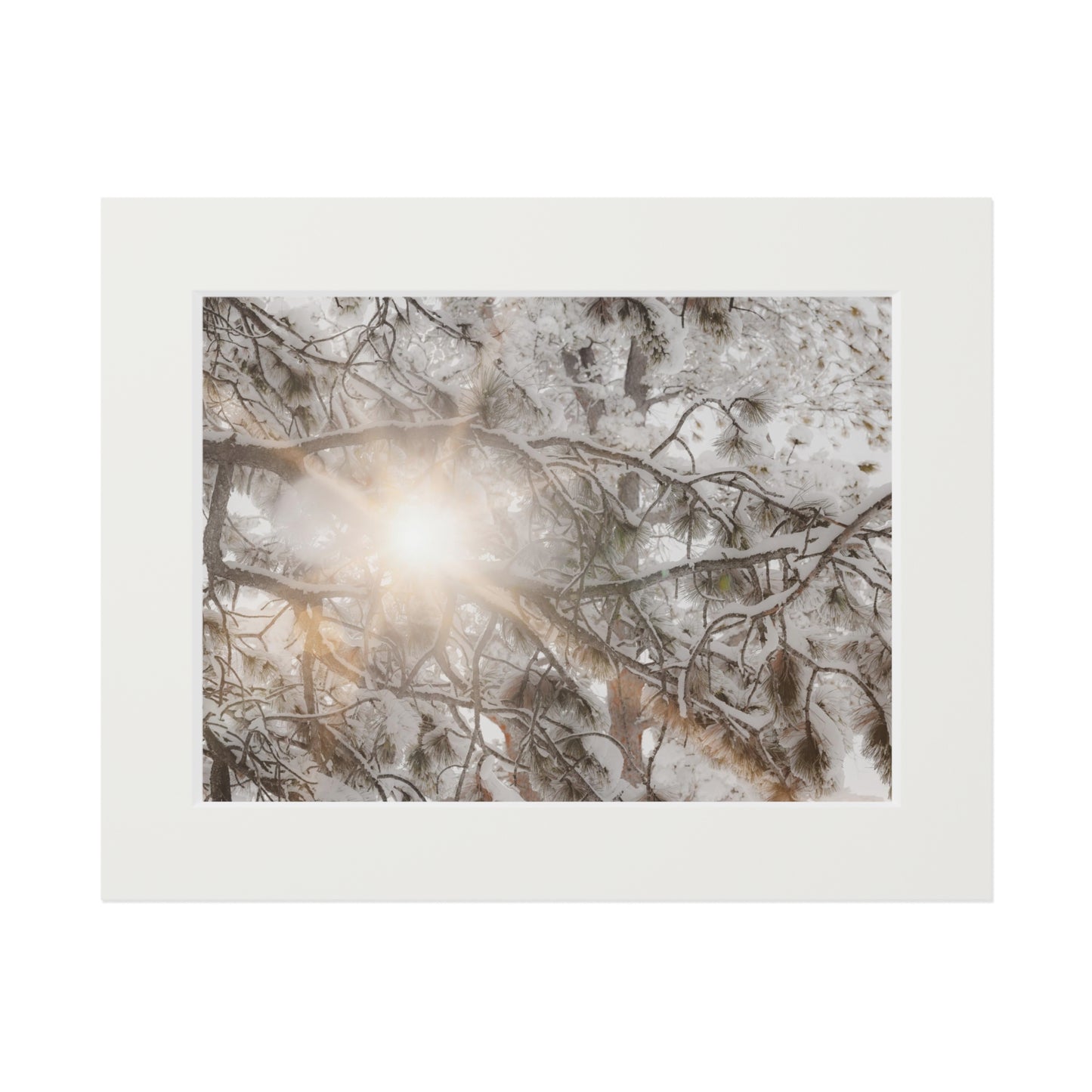 "Winter Light" Fine Art Prints (Passepartout Paper Frame)