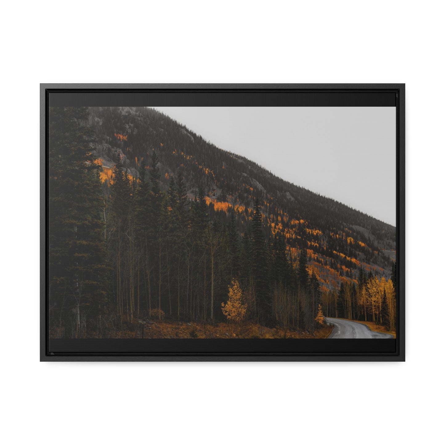 The Lonely Road Framed Gallery Canvas