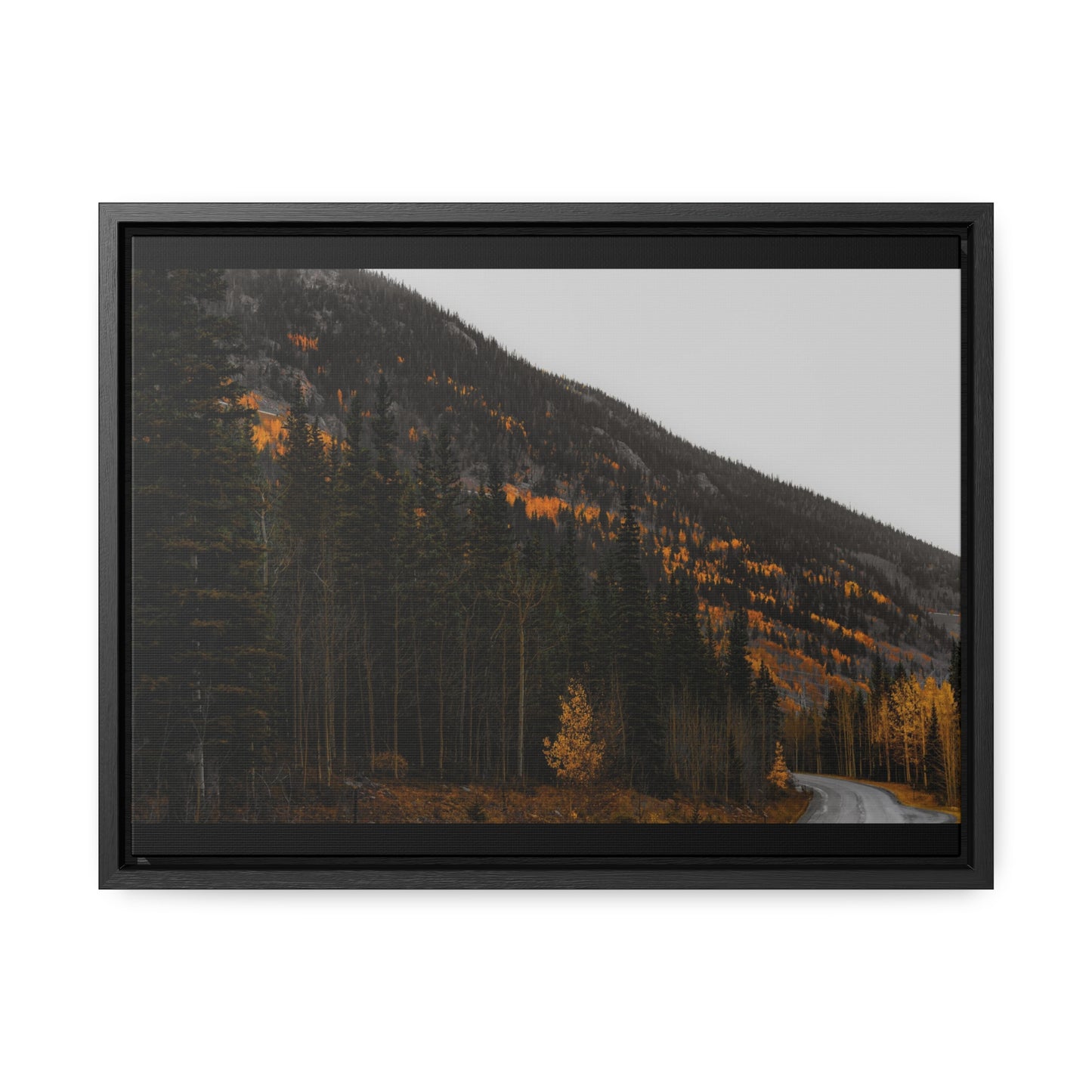 The Lonely Road Framed Gallery Canvas