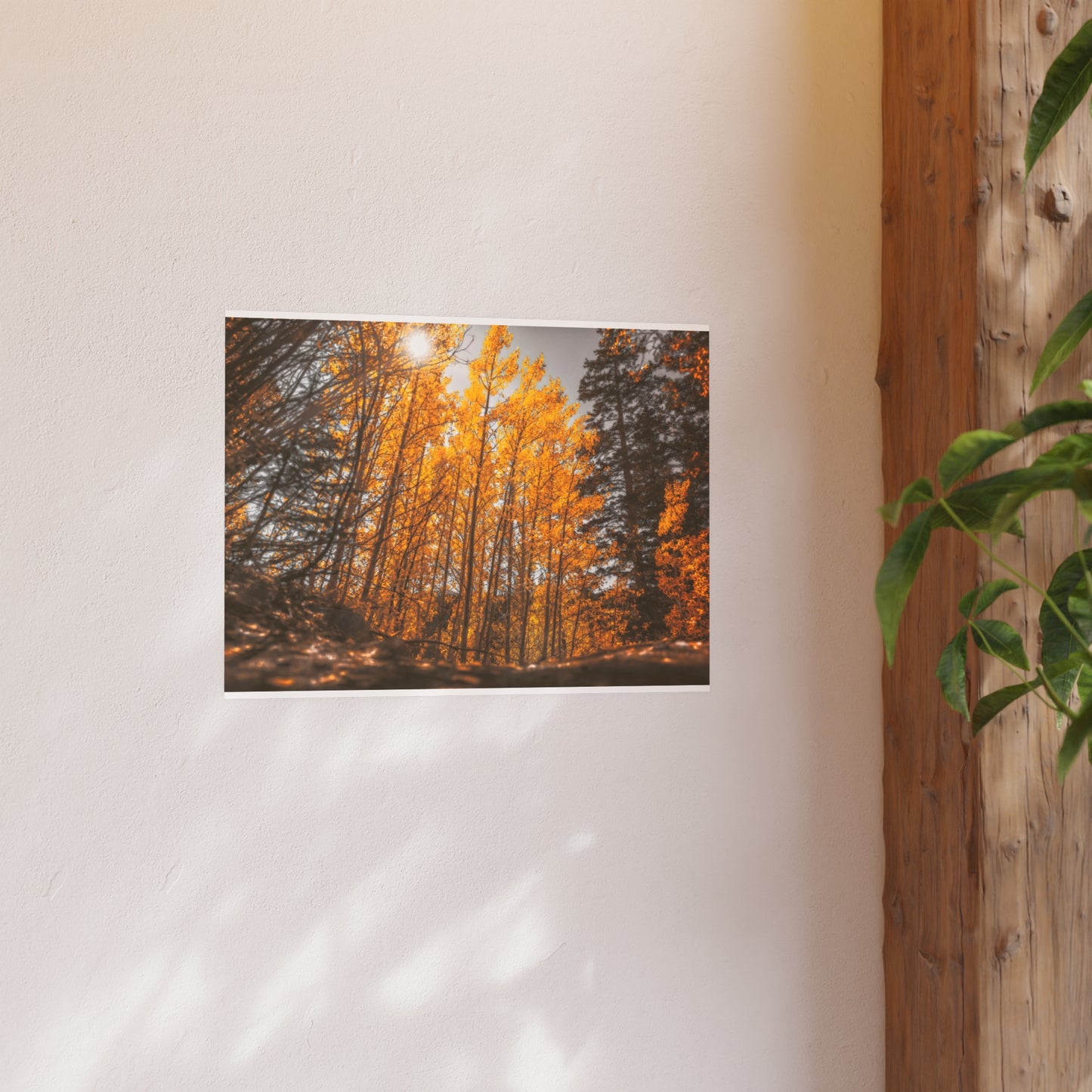 "Autumn's Light" Fine Art Print