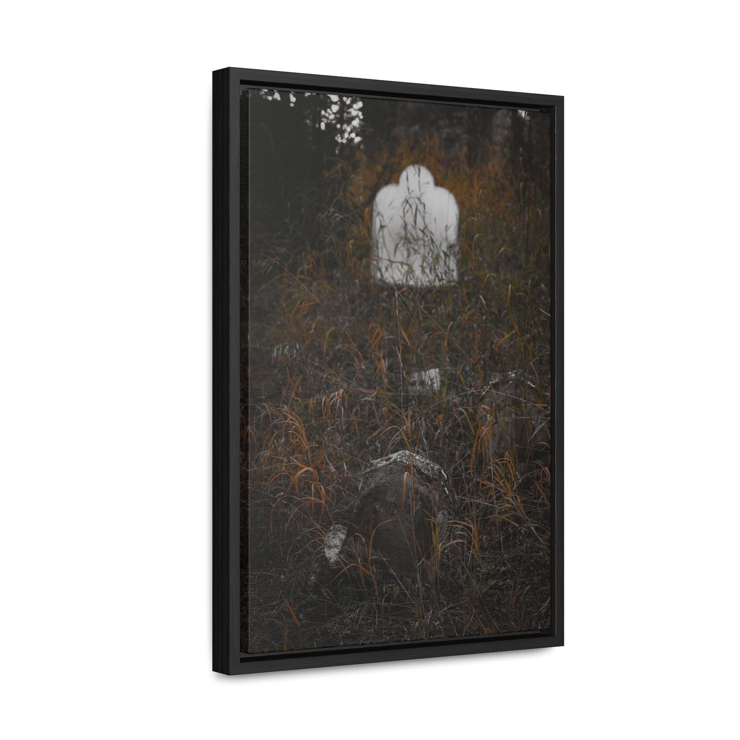 "Forgotten" Gallery Canvas Wraps, Vertical Frame