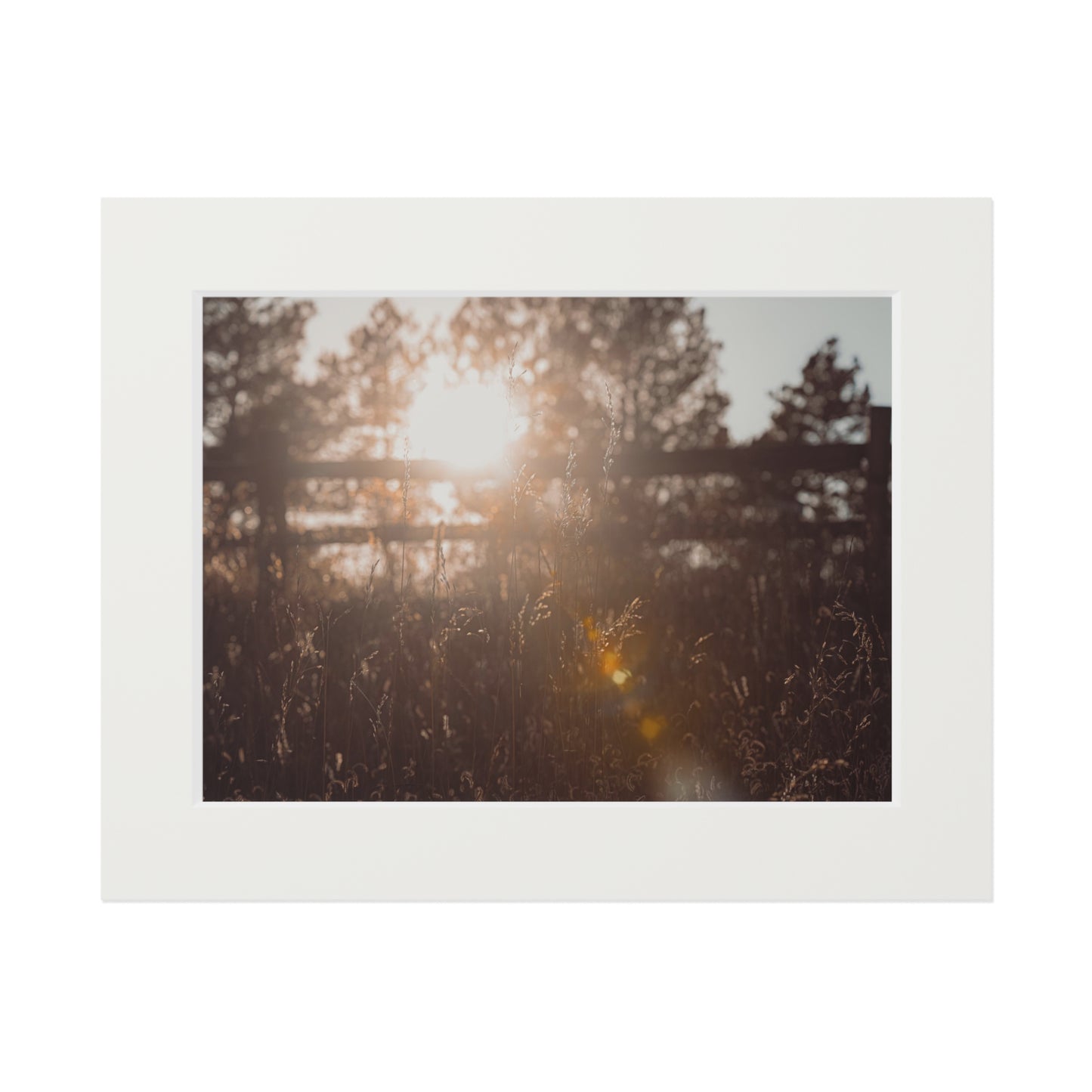 "October Sun" Fine Art Prints (Passepartout Paper Frame)