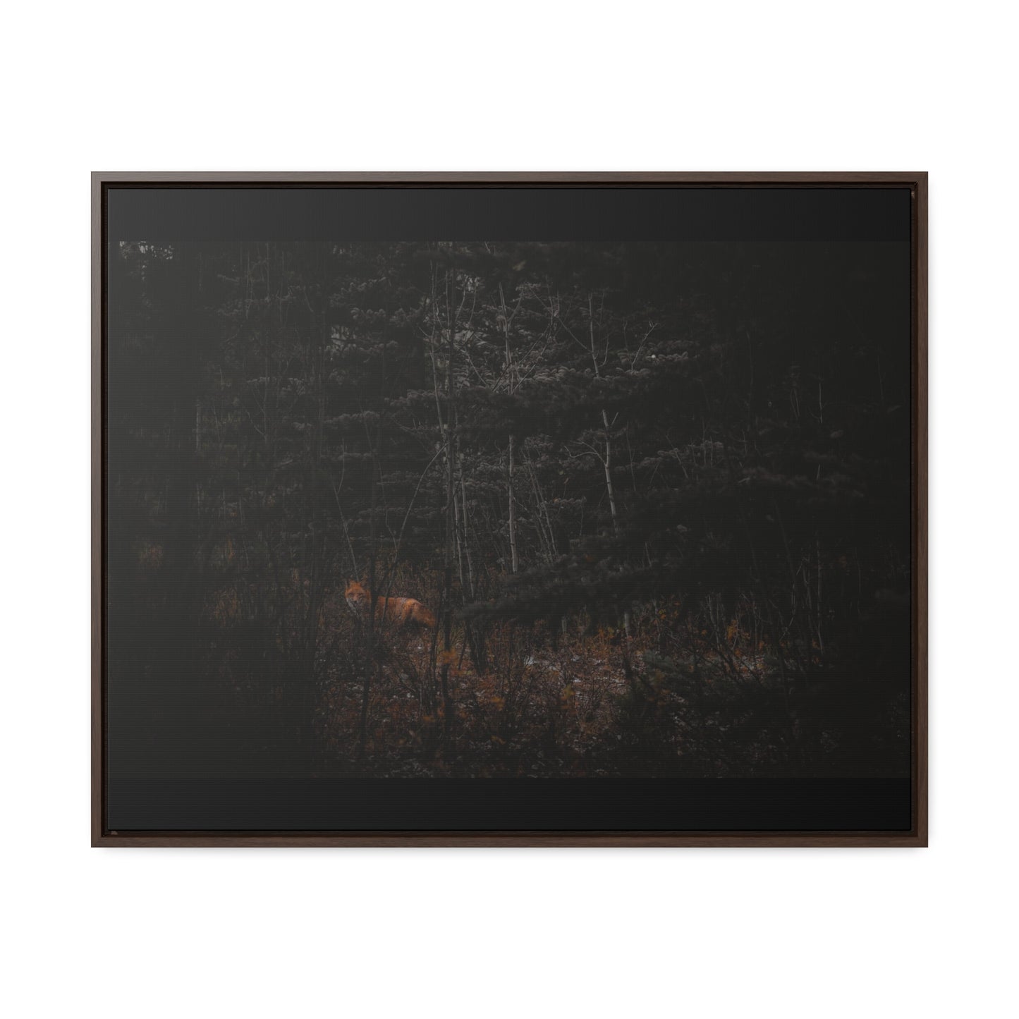 The Fox of the Forest Framed Gallery Canvas